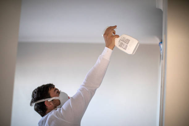 Best Fast Mold Removal  in Gleed, WA