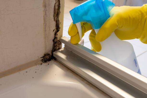 Best Mold Testing  in Gleed, WA