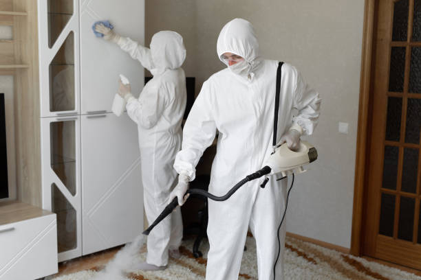 Best Certified Mold Removal  in Gleed, WA