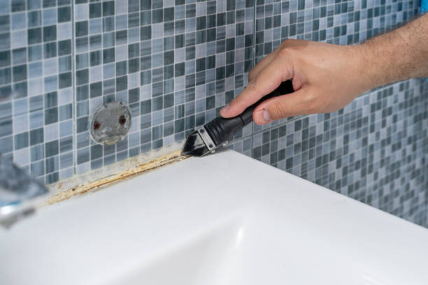 Best Emergency Mold Removal  in Gleed, WA